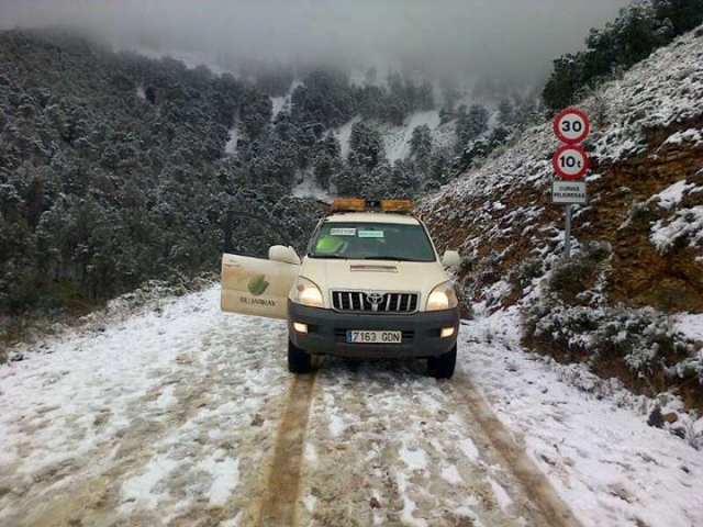4x4 en la nieve